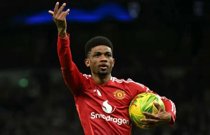 Screenshot_20250116_190934_X