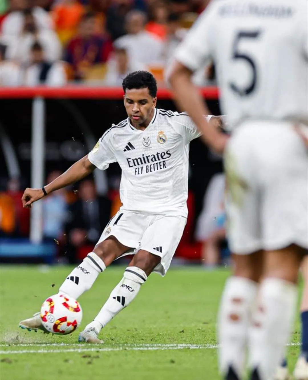 WhatsApp Image 2025-01-12 at 17.43.57