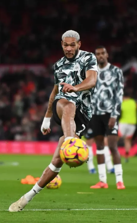 Screenshot_20241230_203918_Instagram